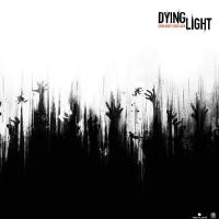 @Dying-light-server