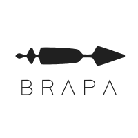 @Team-BRAPA