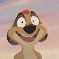 Timon