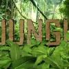 @Jungle93