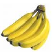 @Bananas-Are-Yellow