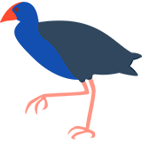 @Pukeko-Host