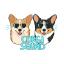 @Corgi-Squad