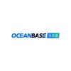 @OceanBase-Partner