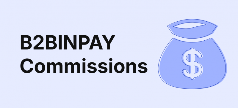 B2BINPAY Commissions: How Do They Work?
