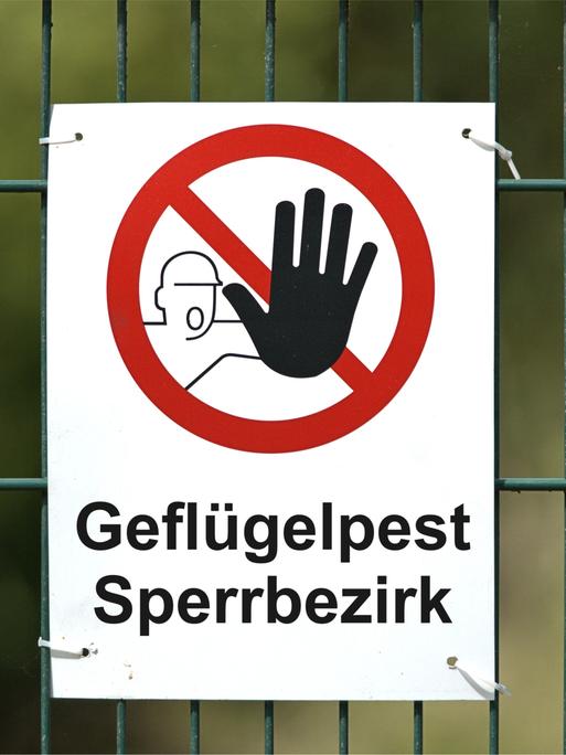 Ein weißes Warnschild hängt an einem Doppelstabmattenzaun. Darauf zu sehen: die Aufschrift "Geflügelpest Sperrbezirk" sowie ein Piktogramm mit einer Person mit ausgestreckter Hand in einem durchgestrichen roten Kreis (Symbolbild)