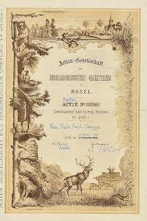 share certificate of the Basel Zoo