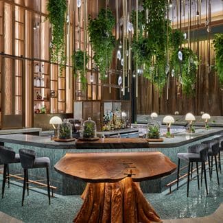 Greenery hangs from the ceiling over a bar