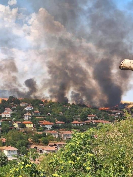 Разследват кой подпали пожара, погълнал къщи, пасище, гора и кола край Ореш