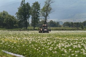 Парадокс - нивите поскъпват повече и от жилищата, но арендата поевтинява (Графика)