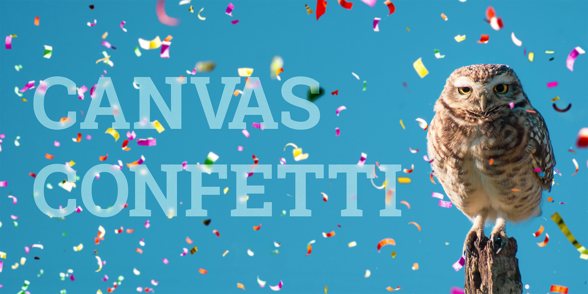 Canvas Confetti