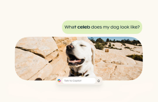 A picture of a dog with a pop up bubble saying Talk to Copilot and asking What celeb does my dog look like?