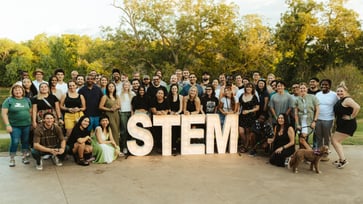 Stem Disintermedia Thumbnail