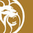 MGM Resorts International Logo