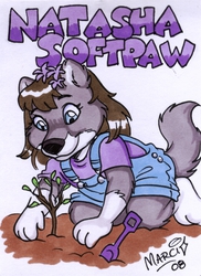 Marci Badge 2