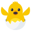 hatching_chick