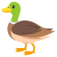 duck