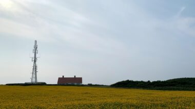 Ein Funkmasten inmitten der Natur