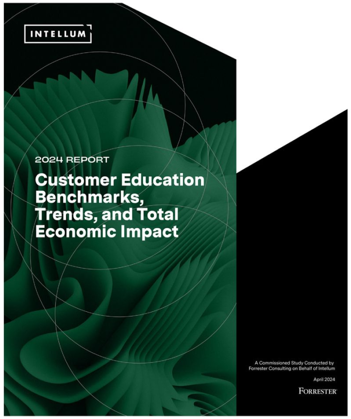 Cover of the 2024 Forrester Report
