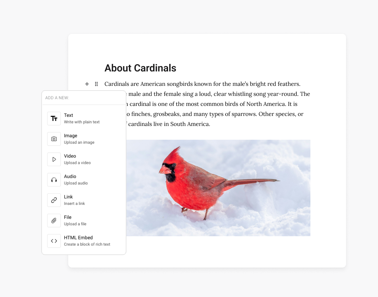 UI Examples of the Intellum platform showing the authoring capabilities