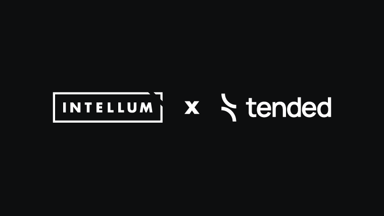 Tended Intellum case study