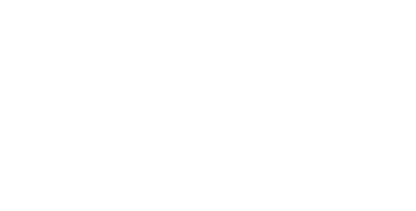 Next Insurance