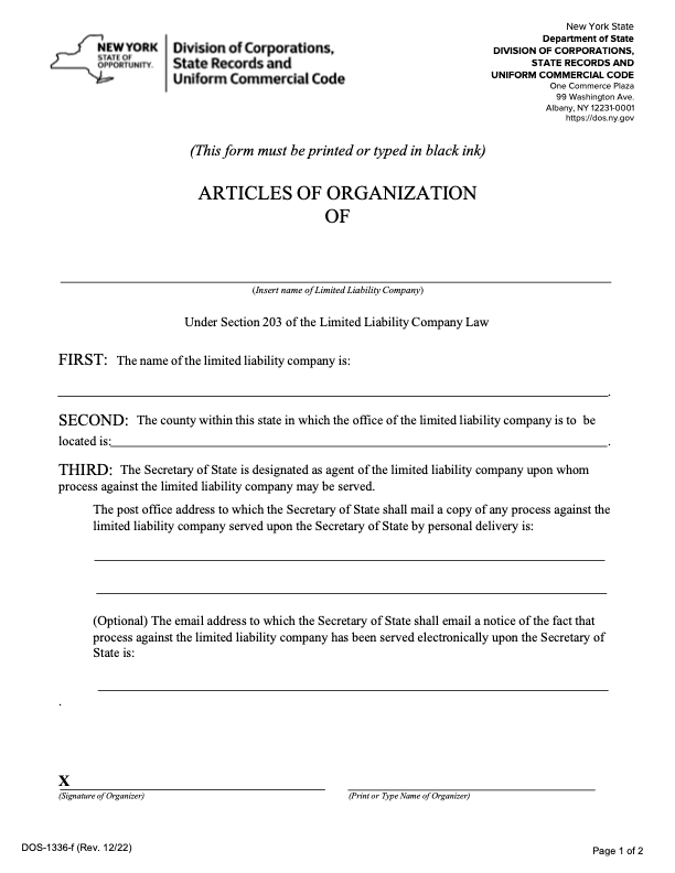 Example of an article of organization from New York