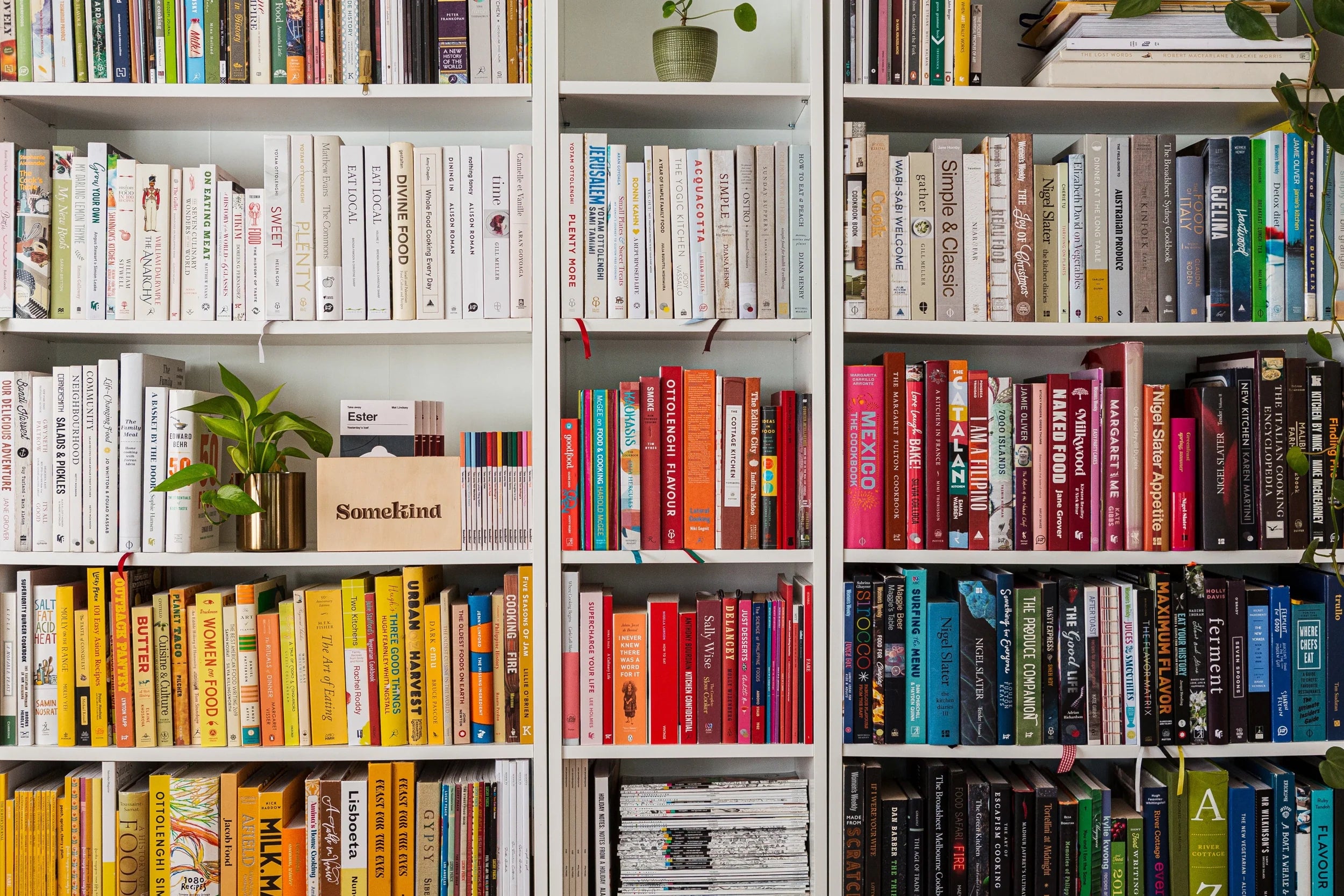 A shelf of books arranged by color