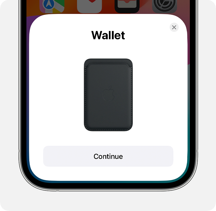 iOS screenshot showing the wallet setup screen.