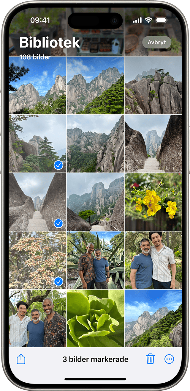 iPhone som visar flera bilder valda i appen Bilder
