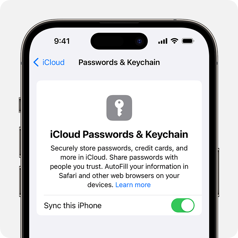 ios-17-iphone-14-pro-settings-apple-id-icloud-passwords-keychain