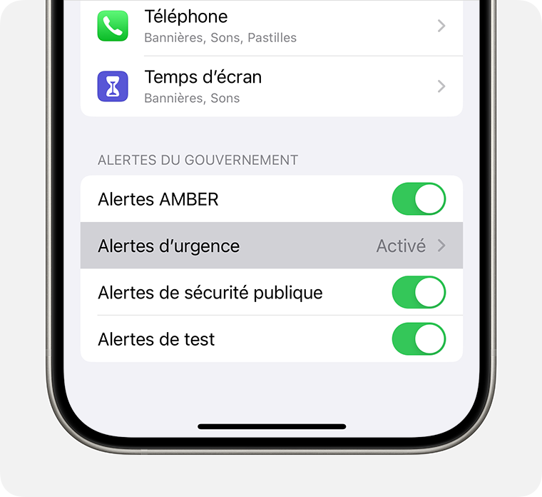 Lorsque vous sélectionnez Government Alerts (Alertes du gouvernement), des options supplémentaires sur la façon dont vous recevez les alertes apparaissent.