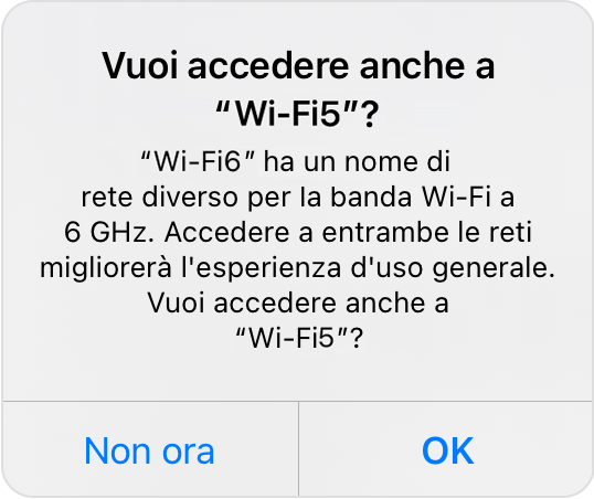 Finestra di dialogo di iOS che chiede se si desidera accedere anche a Wi-Fi 5G