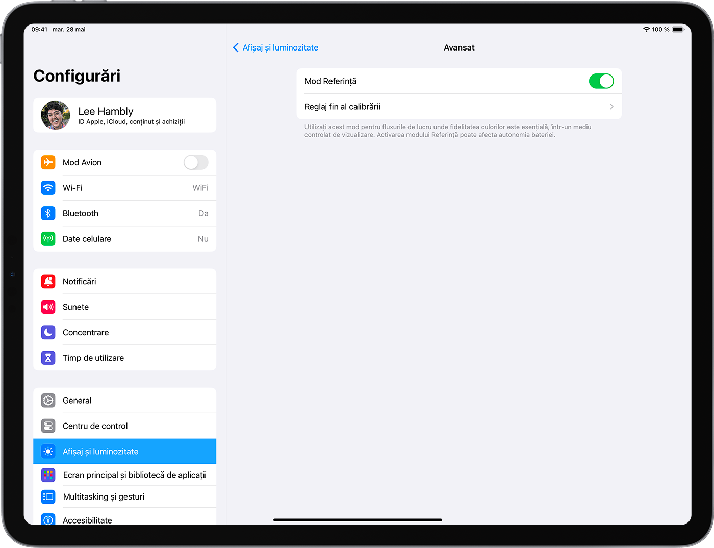 Un dispozitiv iPad care afișează configurările avansate în meniul Afișaj și luminozitate. Mod Referință este activat.