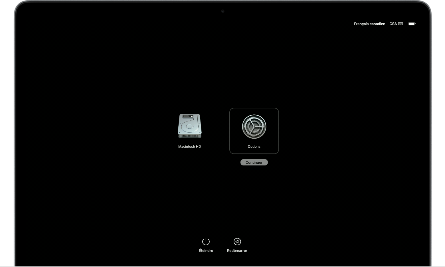Écran de démarrage du mode de récupération avec « Options » sélectionné