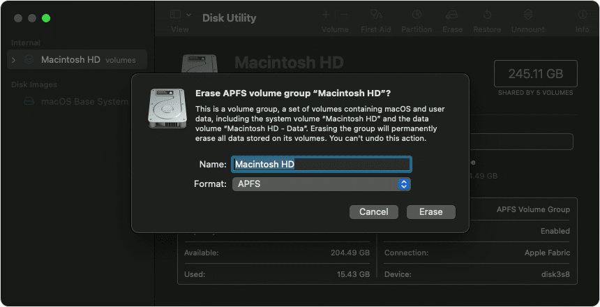 Disk Utility window Erase APFS volume group popup