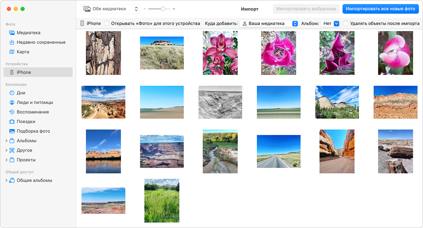 Экран Mac с фотографиями, доступными для импорта