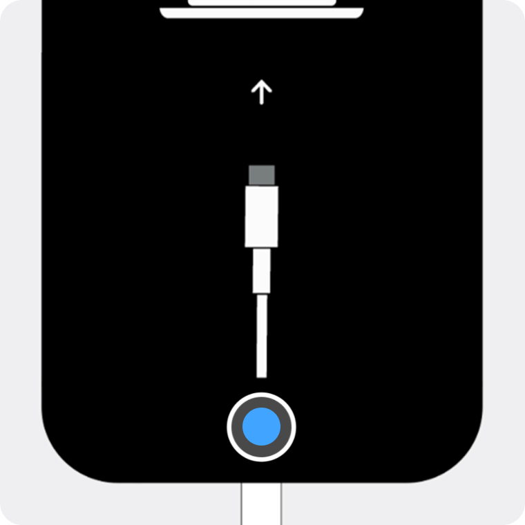 L'iPhone è in modalità di recupero quando viene visualizzata un'immagine di un computer con un cavo.