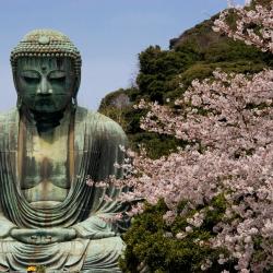 Kamakura 91 hotel