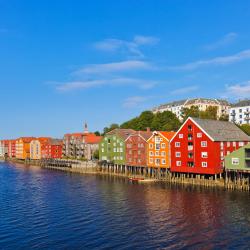 Trondheim 74 pet-friendly hotels