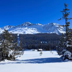 Lenzerheide Kalnų nameliai (4)