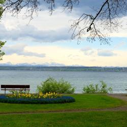 Kreuzlingen 3 gazde/camere de închiriat