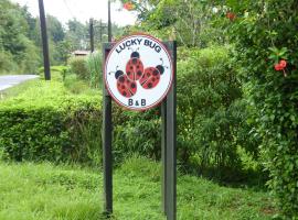 Lucky Bug Bed And Breakfast, cheap hotel in Nuevo Arenal