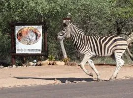 African Rock Lodge