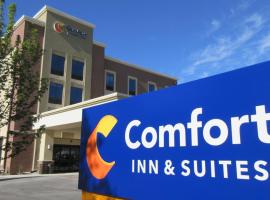 Comfort Inn & Suites Boise Airport, готель біля аеропорту Аеропорт Бойсе - BOI, 