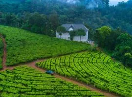 Tea Harvester