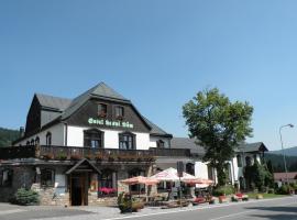 Hotel Lesní dům, hotel in Janske Lazne