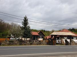 Pensiunea San Pio Sabisa, hotel en Săbişa