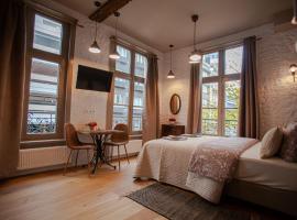 Luxury Suites Meir, hotel a Anvers