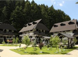 Complex Lions Bucovina, hotel em Voronet